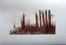 Waldbaden X_Lithografie_b 70 x h 50 cm