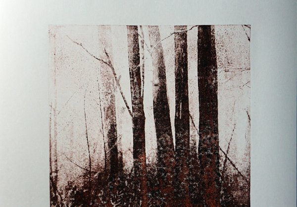 Serie Waldbaden