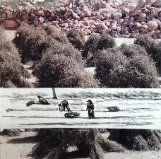 Ernte_Amelago_mixed media_30 x 30 null