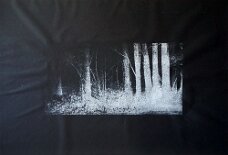 Waldbaden XI_Lithografie_b 70 x h 50 cm null